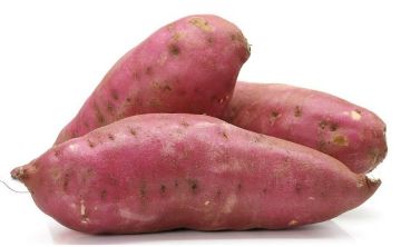 Batata Doce  graúda Imagem de Batata Doce