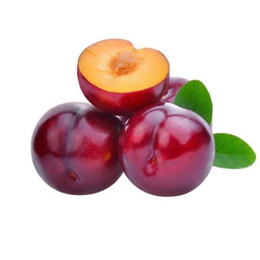 Picture of RED PLUM