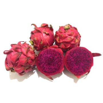 Mostrar detalhes para PITAYA VERMELHA NACIONAL Imagem de PITAYA VERMELHA NACIONAL