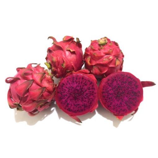 Picture of NATIONAL RED PITAYA