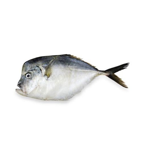 Picture of FROZEN NATIONAL ROOSTER FISH