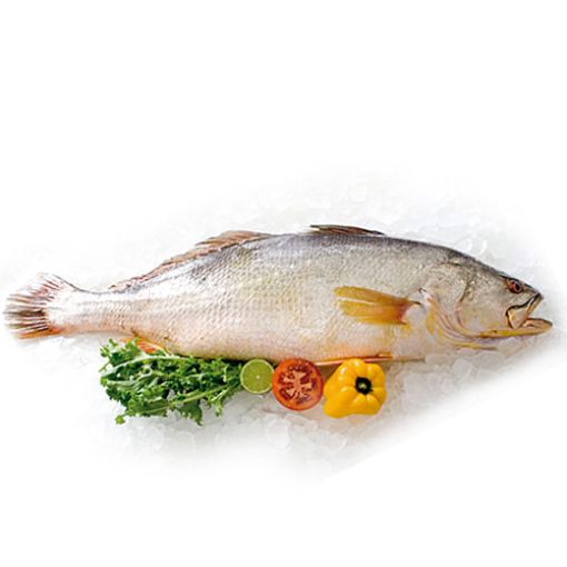 Picture of FROZEN WHOLE NATIONAL HAKE